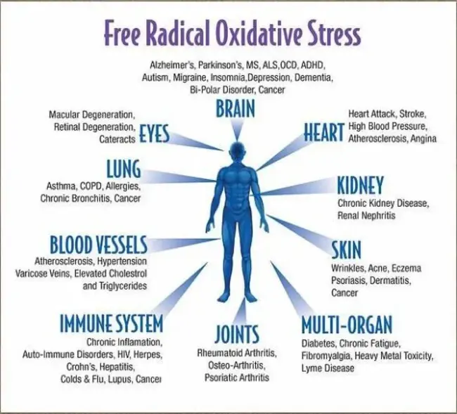 Oxidative Dysoxygenative Dysfunction : 氧化性失氧功能障碍