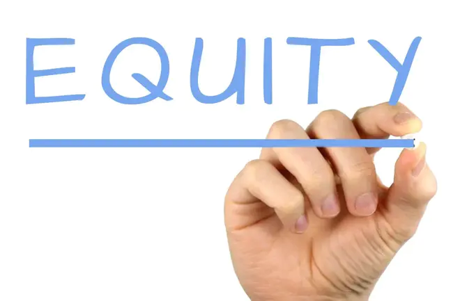 Equity Indexed Annuity : 股票指数年金