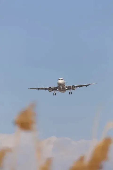 Plane Gone Awol : 飞机起飞了
