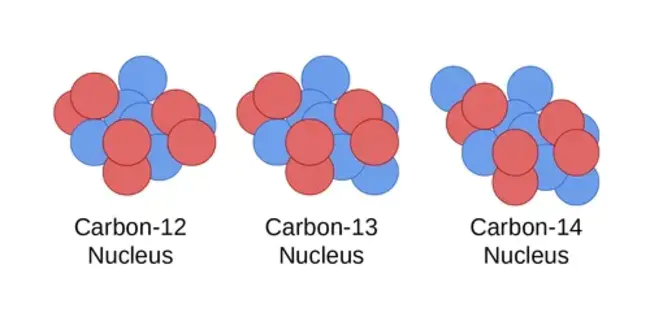 Isotopes of Carbon, Oxygen, and Nitrogen : 碳、氧和氮的同位素