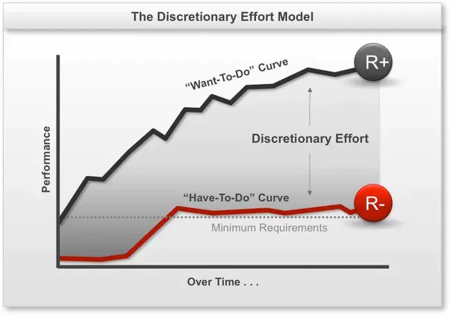 Discretionary Investment Management : 全权委托投资管理