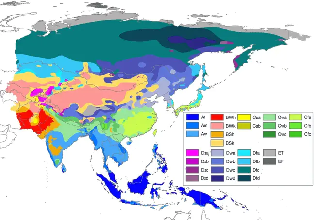 East Pacific Investigation of Climate : 东太平洋气候调查