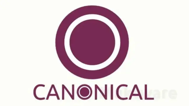 Canonical Bases : 标准基