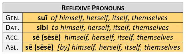 Reflexive Pronoun : 反身代词