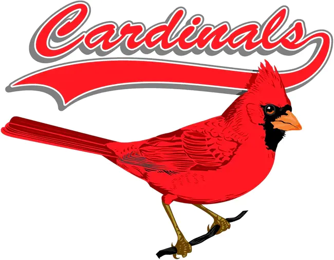 Cardinals In Action : 红衣主教的行动