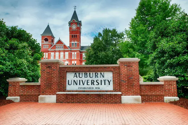 Auburn University : 奥本大学