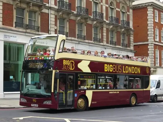 Big Bum Bus : 大流浪巴士