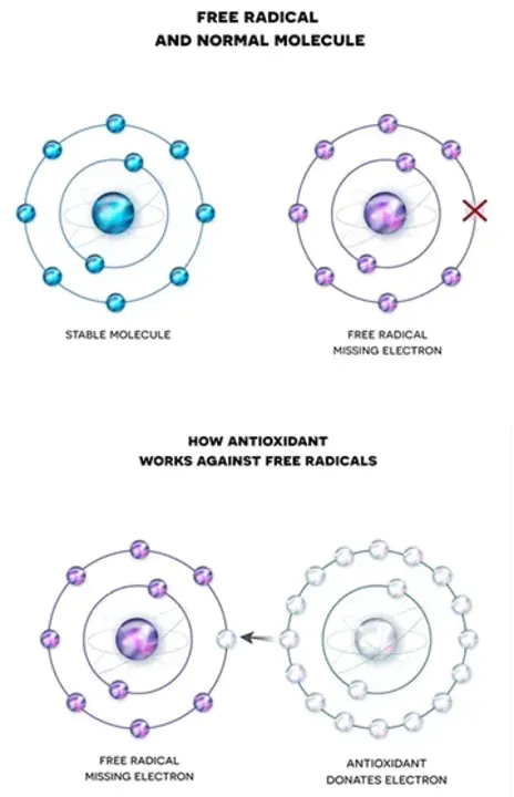 Radical Anxiety Termination : 彻底的焦虑终止