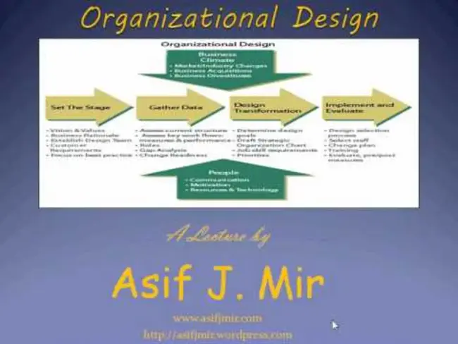 Organizational Design : 组织设计