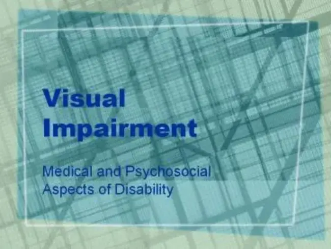 Visual Impairment Database Of Education : 教育视力障碍数据库