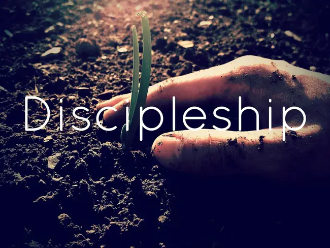Discipleship In Progress : 正在进行徒弟训练