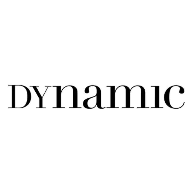 Dynamic Solutions International : 动态解决方案国际公司