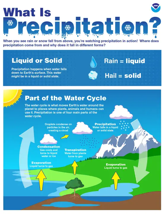 Precipitation : 降水量