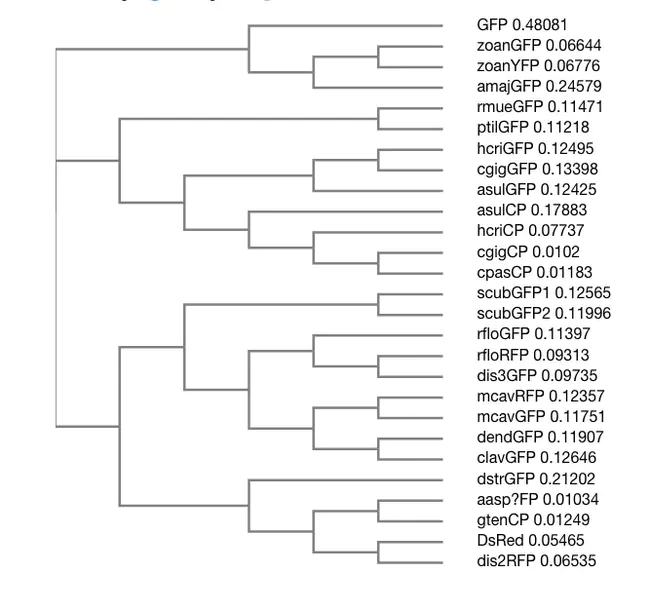 Green Fluorescent Protein : 绿色荧光蛋白