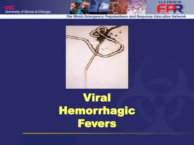 Viral Hemorrhagic Fever : 病毒性出血热