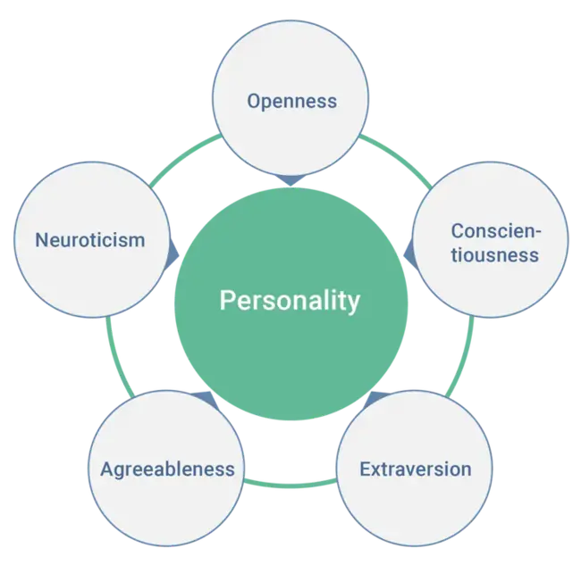 Personality Factor : 人格因素