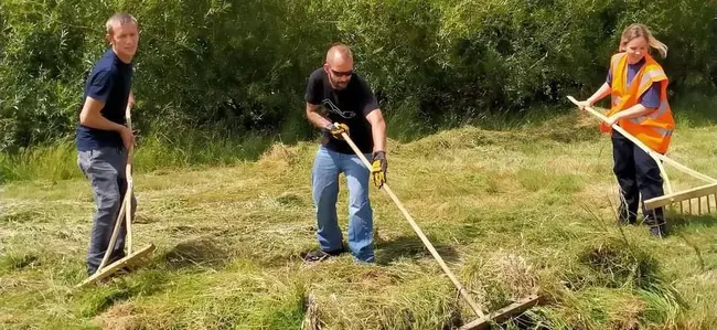 Middle Oak Volunteer Effort : 中橡树志愿者的努力