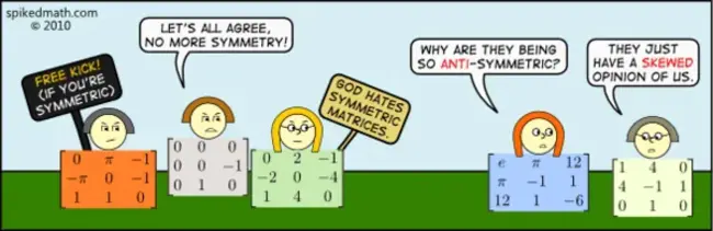 Antisymmetrized Product of Identical Geminals : 同卵双生体的反对称化产物