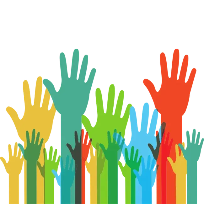 Participation : 参与