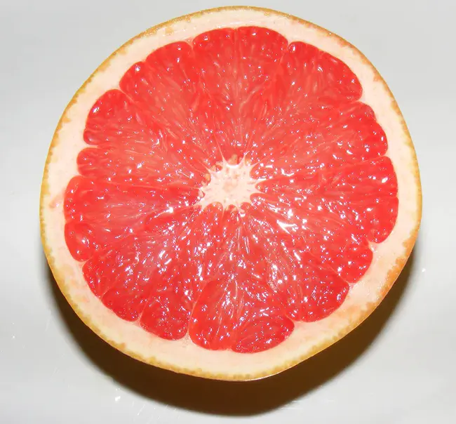 Grapefruit Seed Extract : 柚子籽提取物