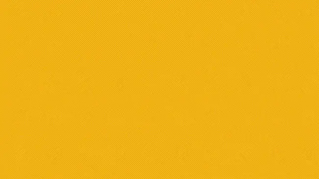 Yellow : 黄色的