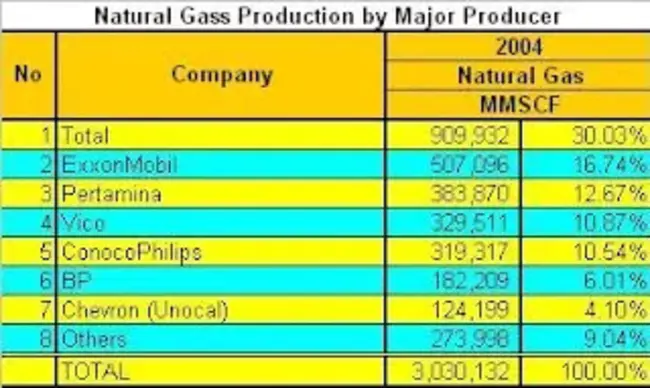 Indonesia Domestic Biogas Programme : 印度尼西亚国内沼气计划