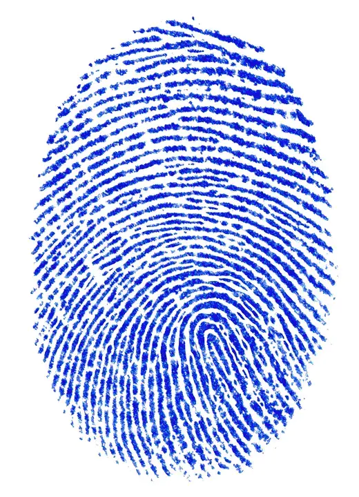 Fingerprint : 指纹