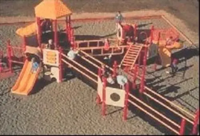 Accessible Large Playground Structure : 无障碍大型操场结构