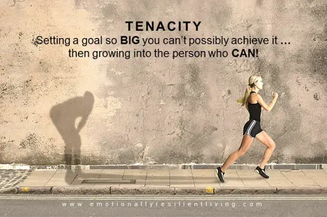 Tenacity : 韧性