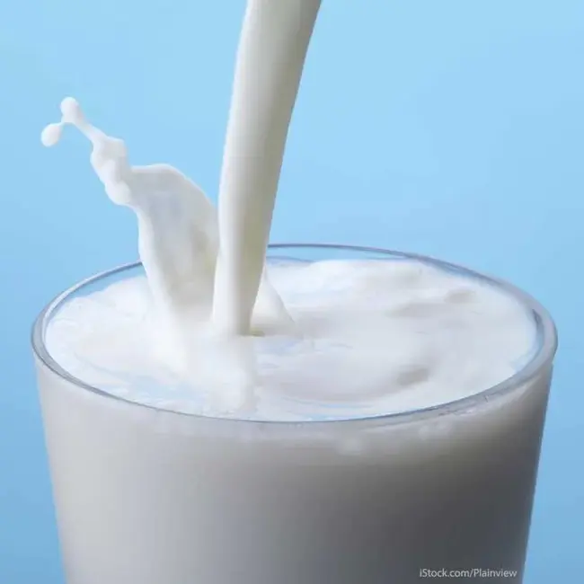 Milk : 鲜奶