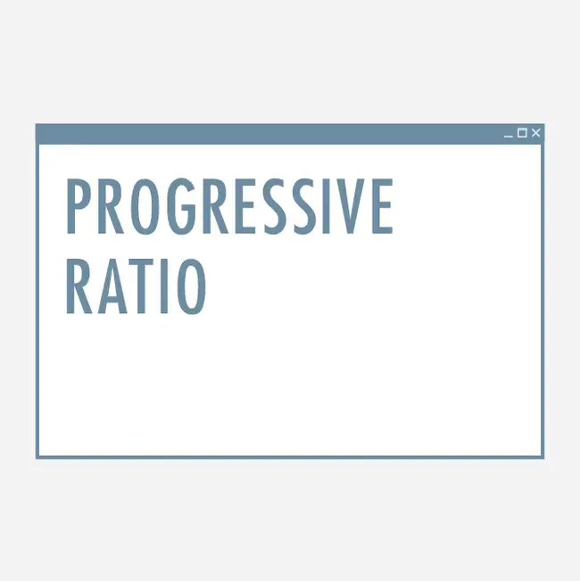 Progressive Fast Analysis : 渐进快速分析