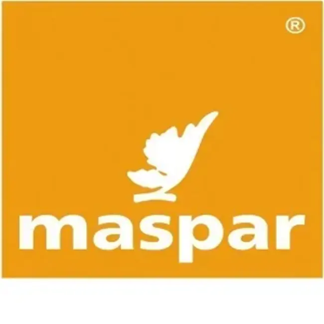 Maspar Programming Language : 马斯帕程序设计语言