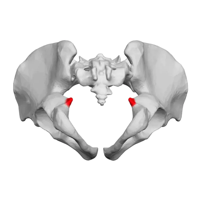 Variable Kwic : 可变KWIC