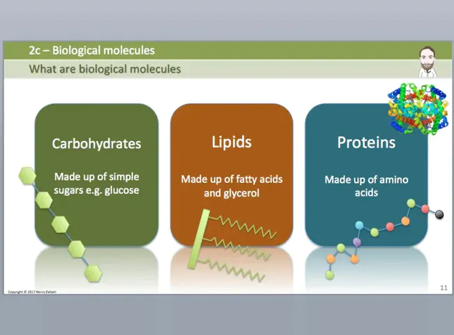 Biology, Chemistry, Math, and Physics : 生物学、化学、数学和物理