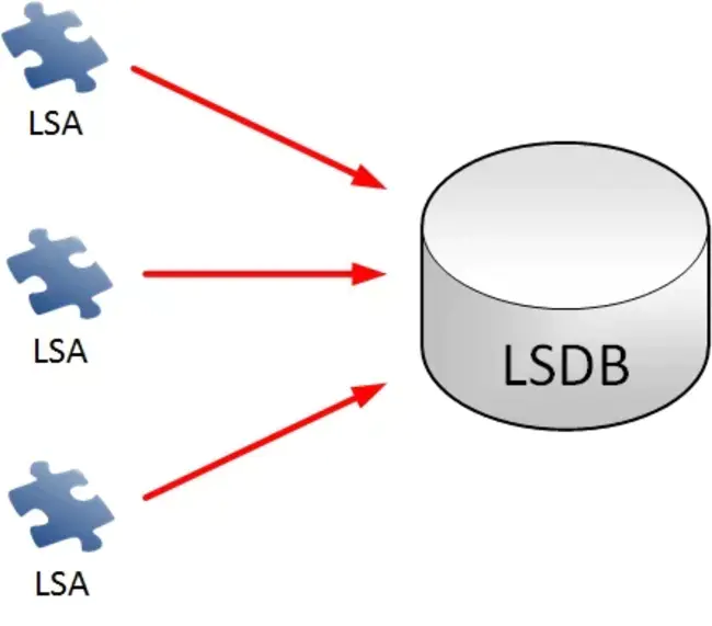 Lsdb Resynchronization : LSDB重新同步