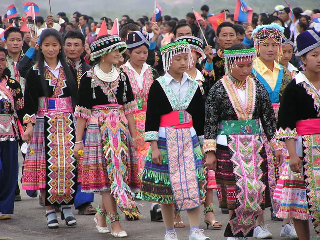 Hmong Student Association : 苗族学生会