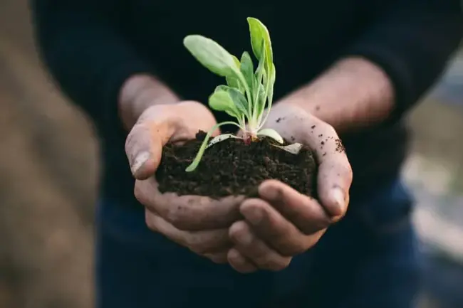 Sustainable Green Bay : 可持续绿湾