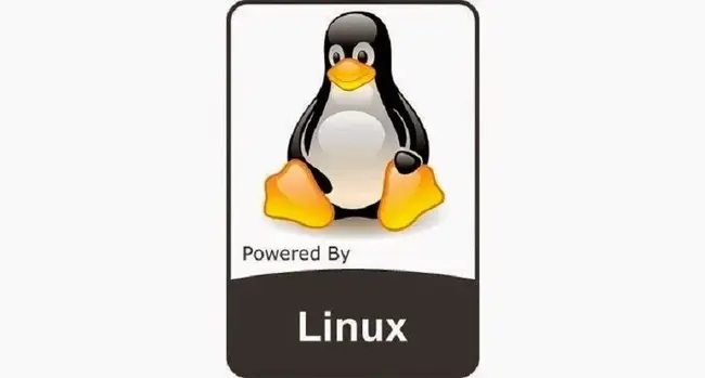 Linux Virtual Server : Linux虚拟服务器