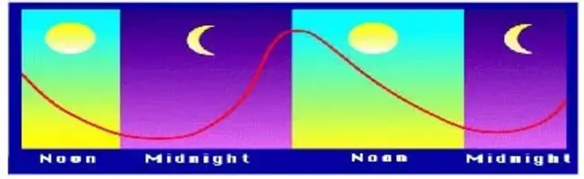 Circadian Hyper Amplitude Tension : 昼夜节律超振幅紧张