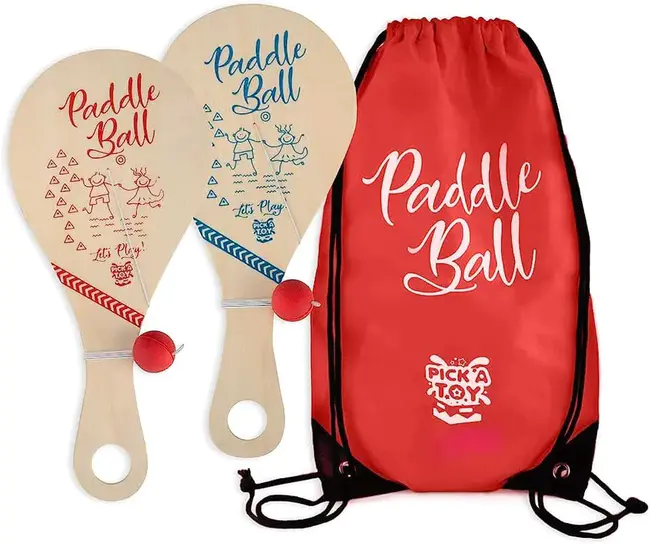 Ball And Paddle : 球和桨