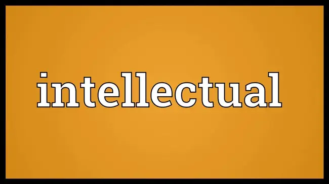 Intellectual Brains : 智力头脑