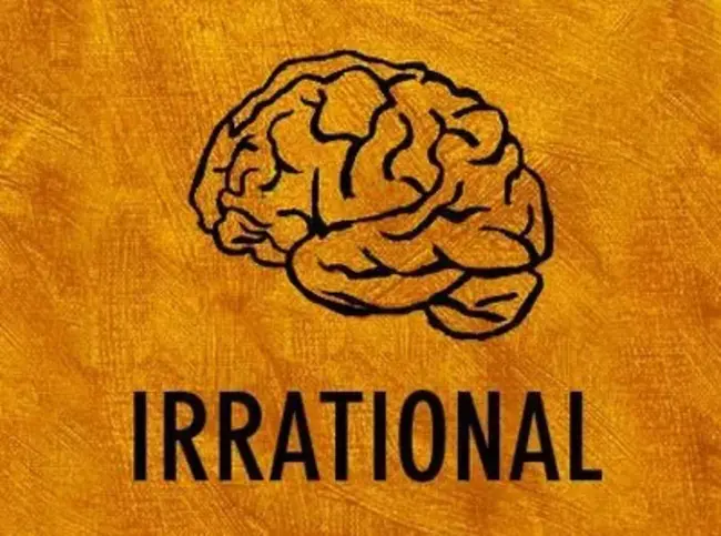 Irrational Beliefs : 非理性信念