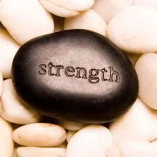 Strength Perseverance Imagination Responsibility Integrity And Talent : 力量、毅力、想象力、责任、正直和才干