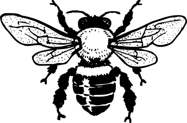 Queen Bee : 蜂王