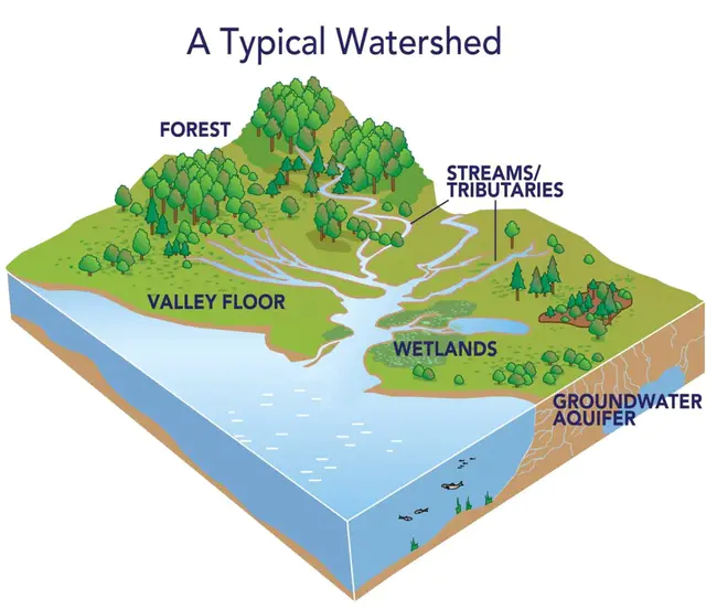 Watershed Data Management : 流域数据管理