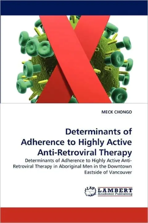 Highly Active Anti-Retroviral Treatment : 高效抗逆转录病毒治疗