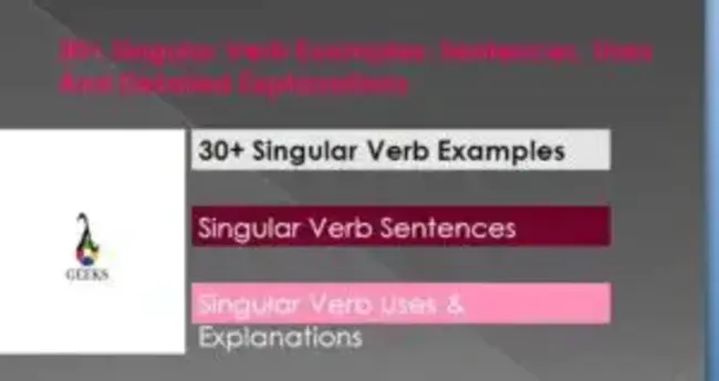 Singular Indefinite Article : 奇异不定项