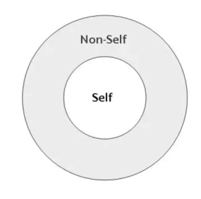 Non-Self Regulating : 非自我调节