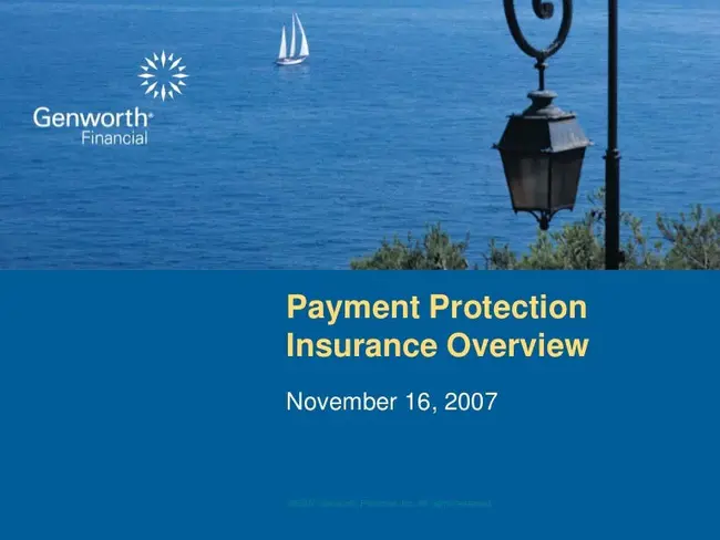 Payment Protection Insurance : 支付保障保险