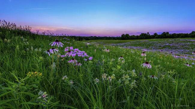 Prairie Arts Council : 草原艺术委员会